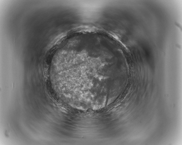 X0000095531399200712281512
