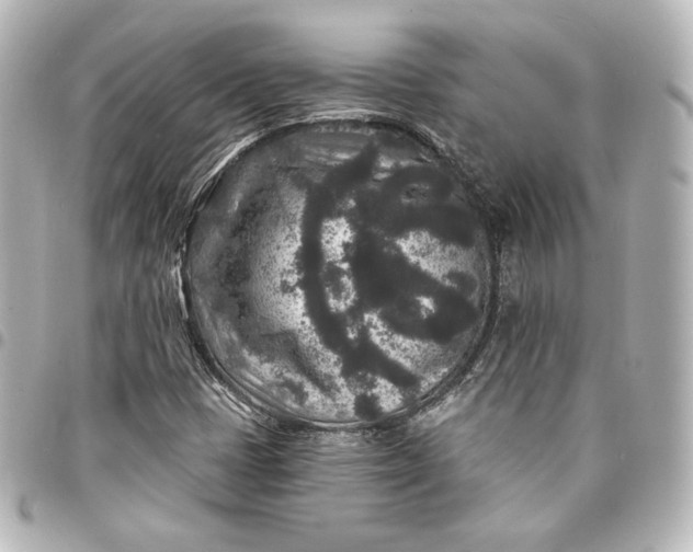 X0000095531401200712281512