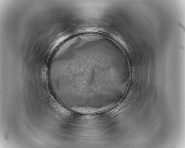 X0000095531404200712281512