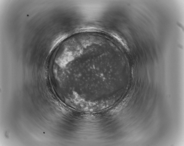 X0000095531405200712281512