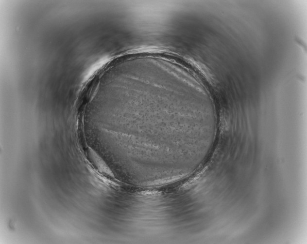 X0000095531406200712281512