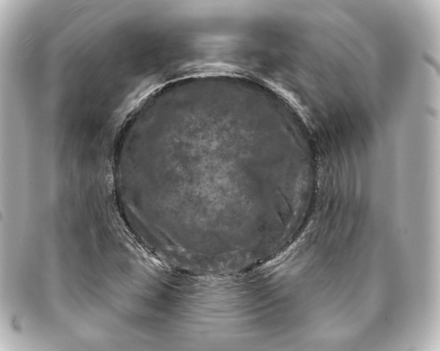 X0000095531407200712281512