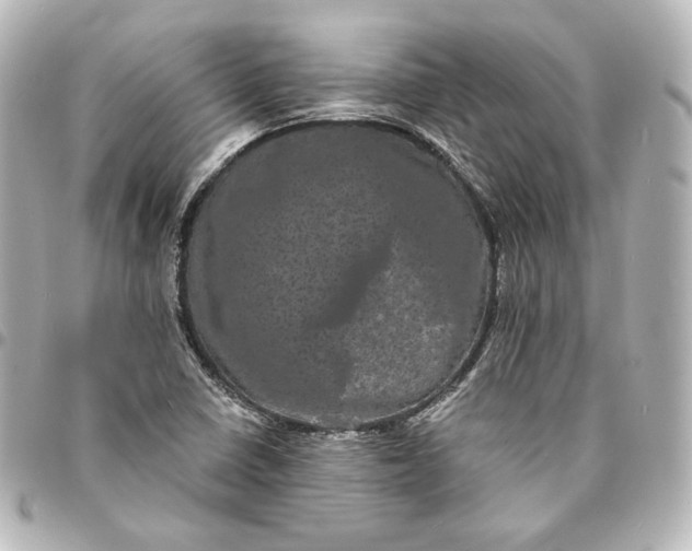 X0000095531410200712281512