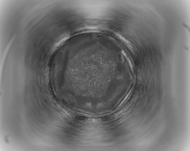 X0000095531411200712281512