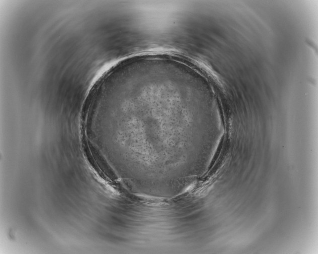 X0000095531412200712281512