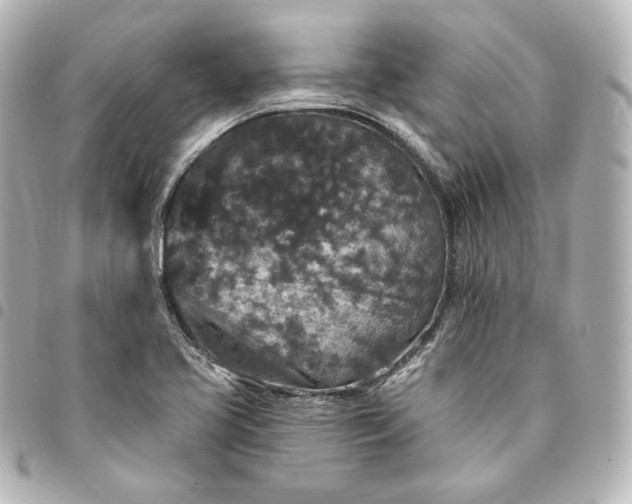 X0000095531413200712281512