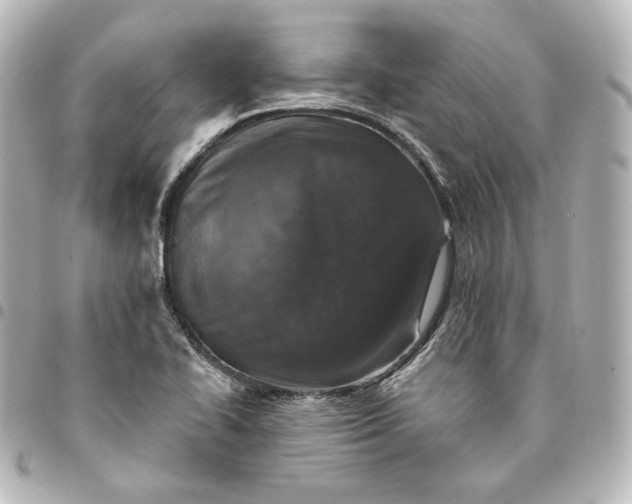 X0000095531414200712281512