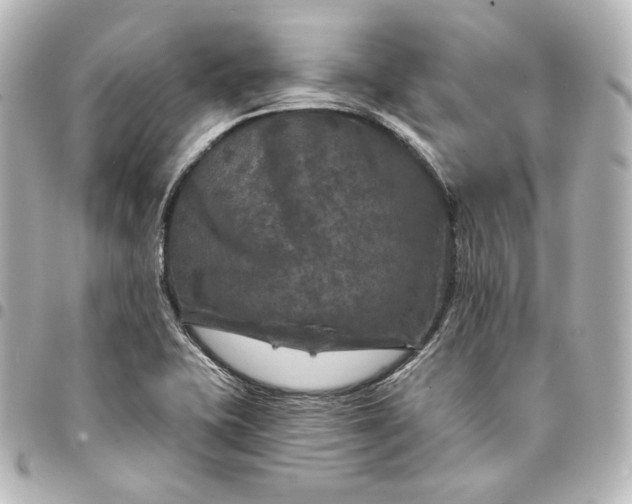 X0000095531415200712281512