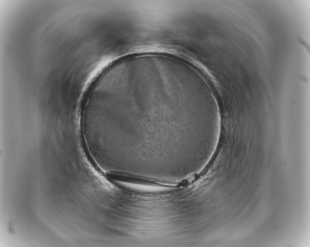 X0000095531416200712281512