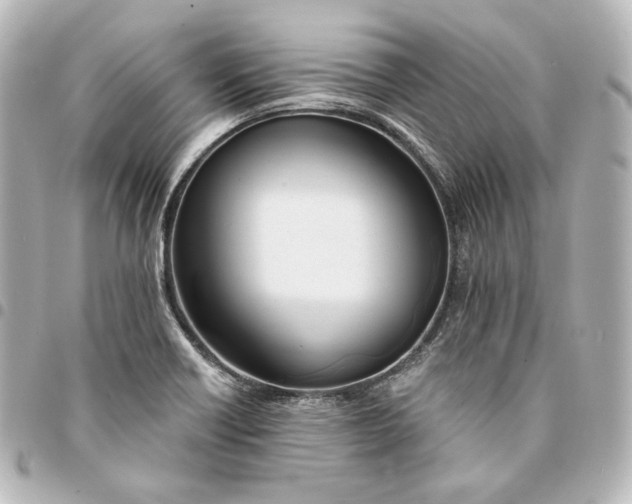 X0000095531418200712281512