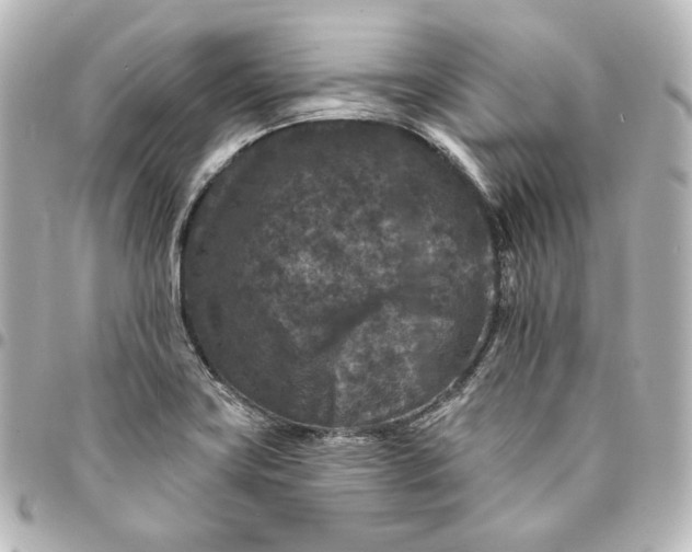 X0000095531419200712281512