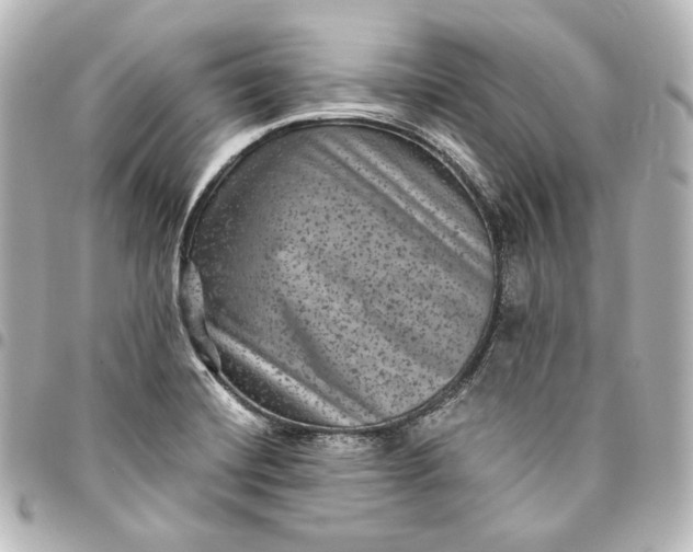 X0000095531420200712281512