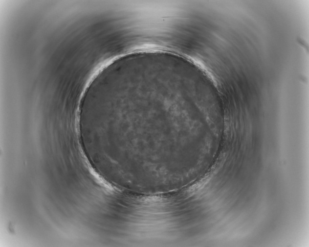 X0000095531421200712281512