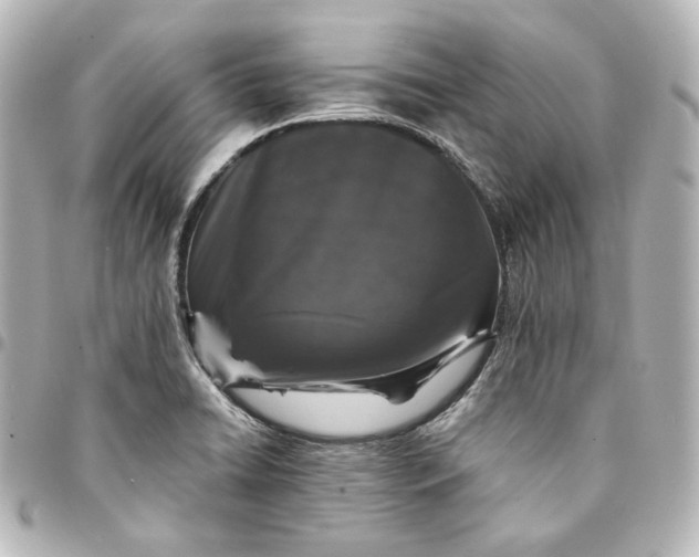 X0000095531422200712281512