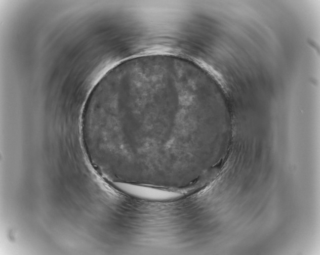 X0000095531423200712281512