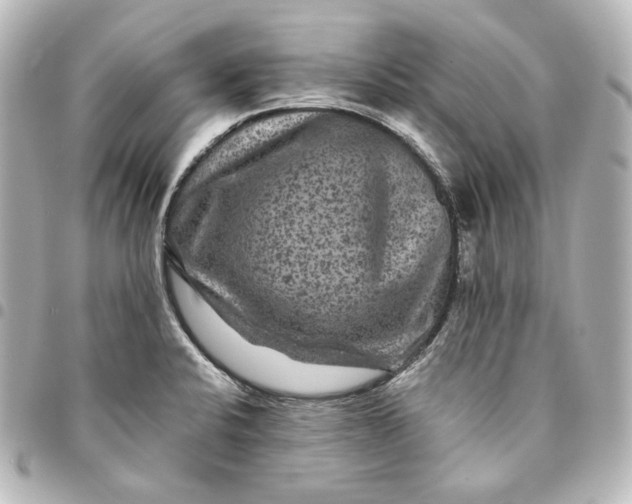 X0000095531424200712281512