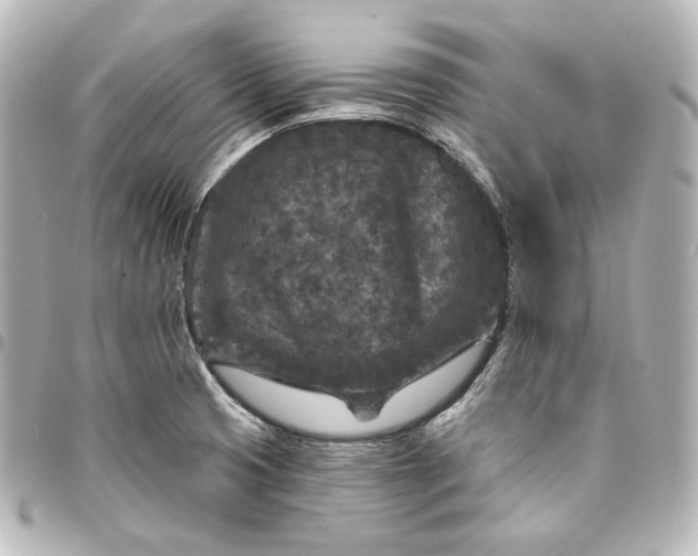 X0000095531425200712281512