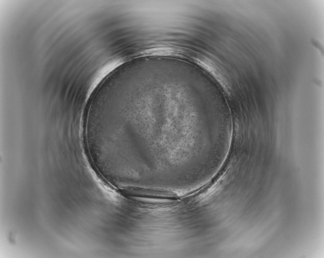 X0000095531426200712281512