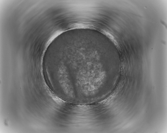 X0000095531427200712281512
