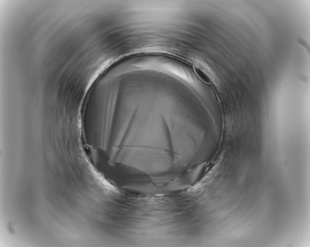 X0000095531428200712281512