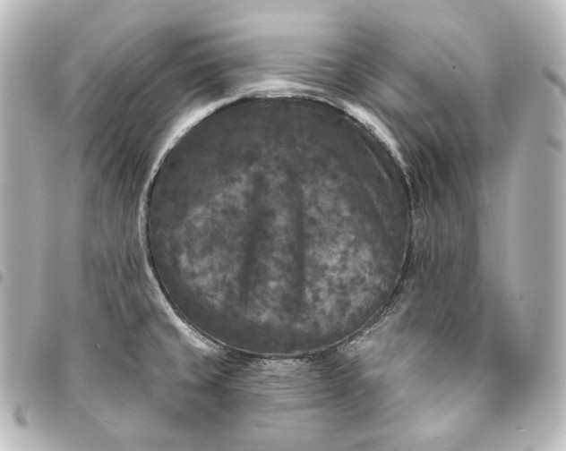X0000095531429200712281512
