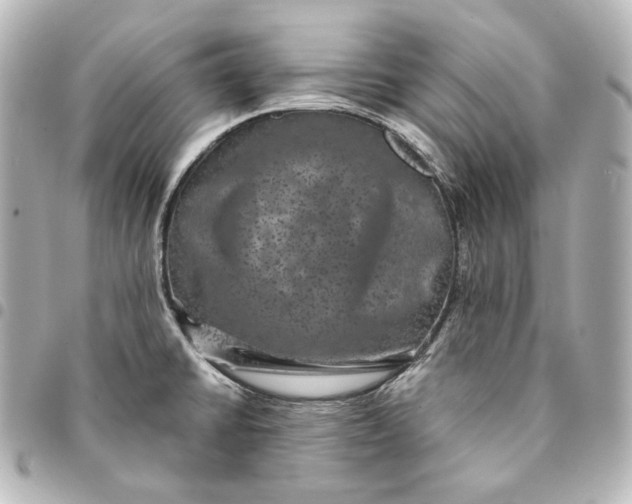 X0000095531430200712281512