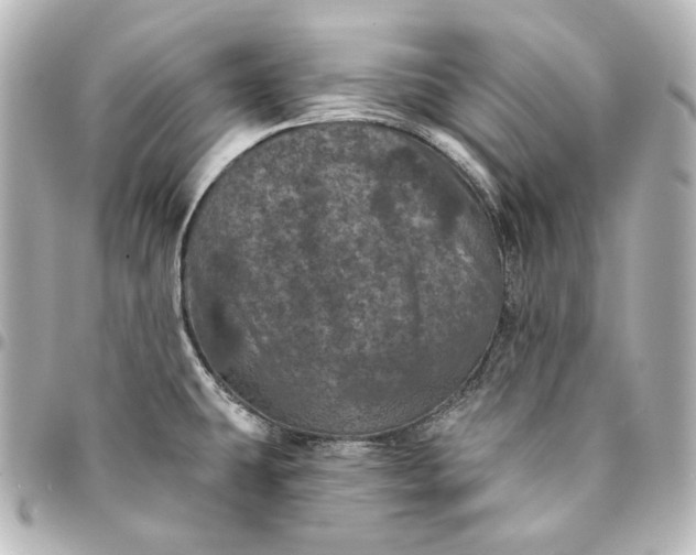 X0000095531431200712281512