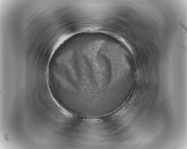 X0000095531432200712281512