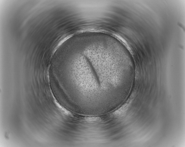 X0000095531433200712281512