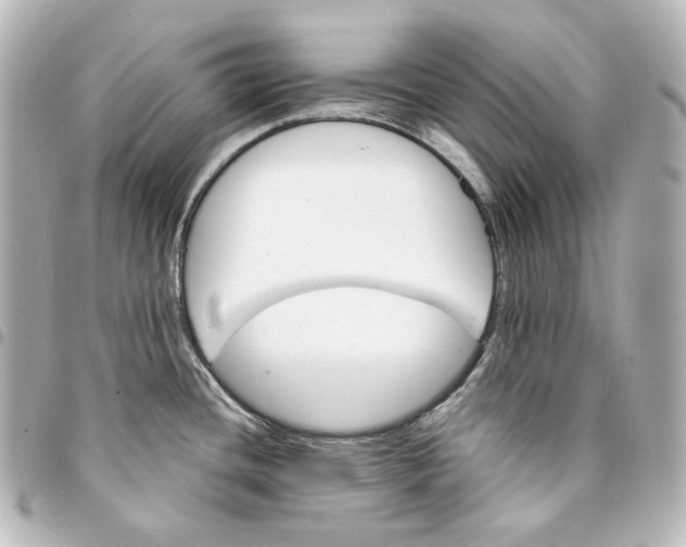 X0000095531436200712281512
