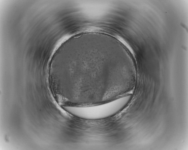 X0000095531437200712281512