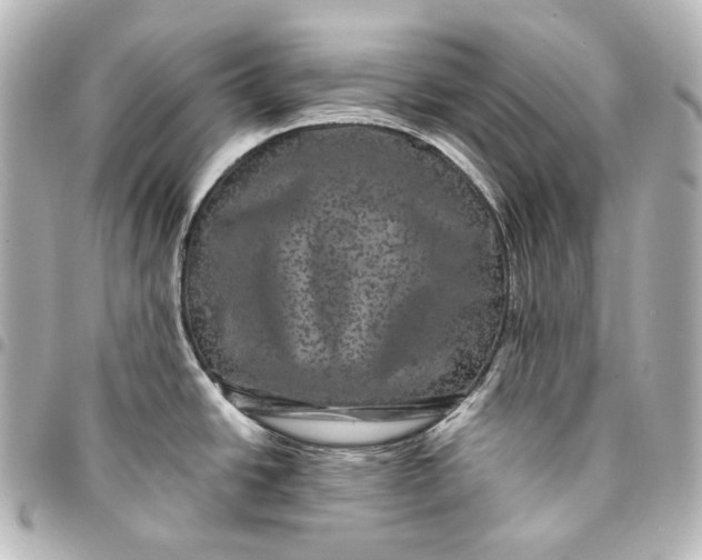 X0000095531438200712281512