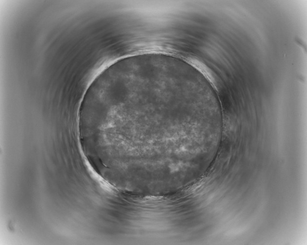 X0000095531439200712281512
