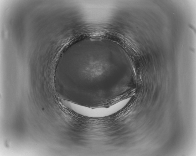 X0000095531441200712281512