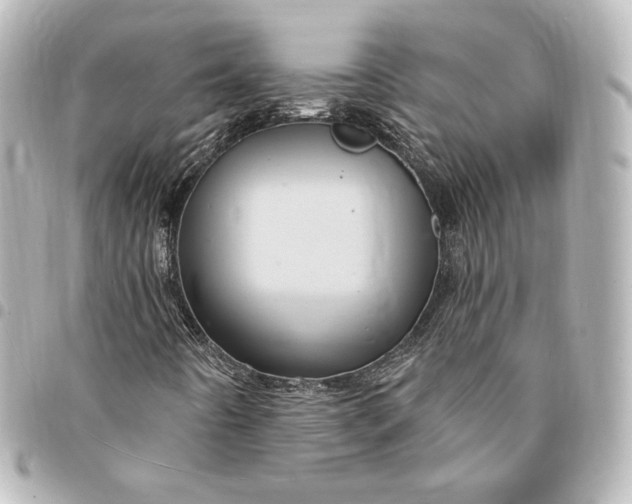 X0000095531442200712281512