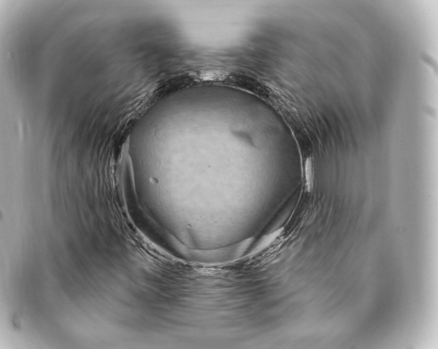 X0000095531443200712281512