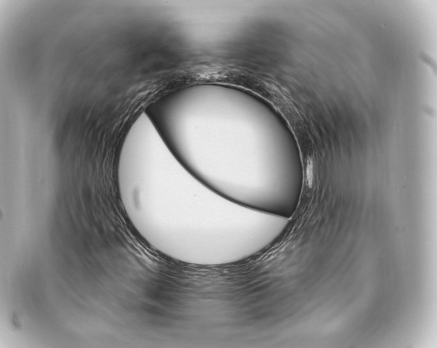 X0000095531444200712281512