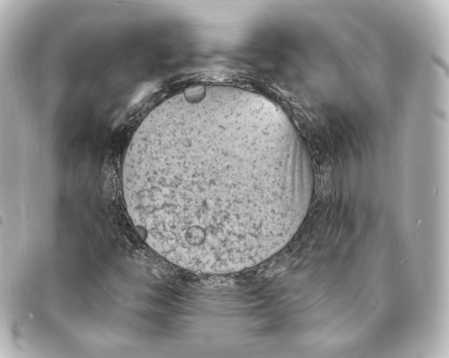 X0000095531446200712281512