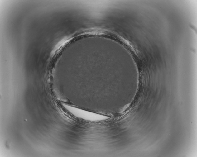 X0000095531448200712281512