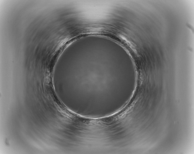 X0000095531449200712281512