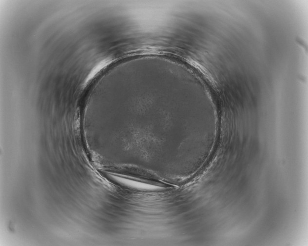 X0000095531450200712281512
