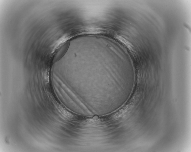 X0000095531451200712281512