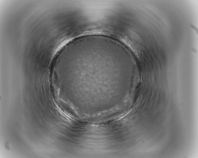 X0000095531452200712281512