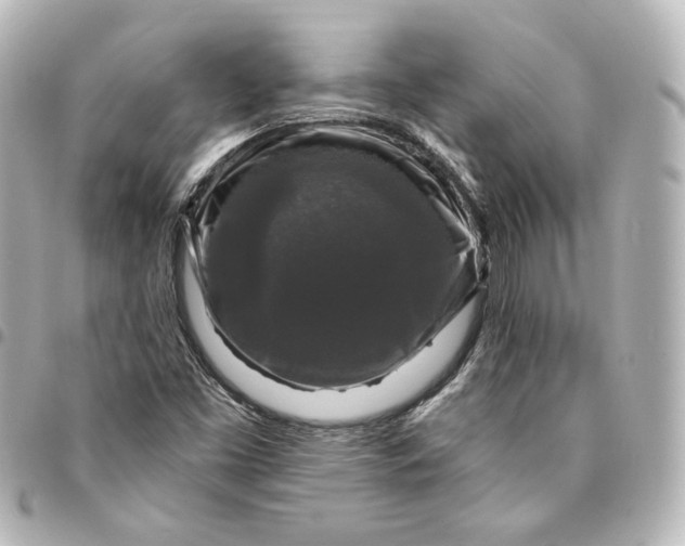 X0000095531453200712281512