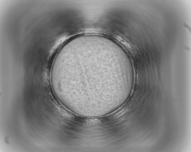 X0000095531454200712281512