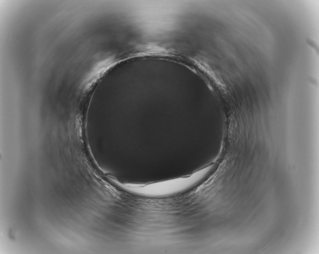 X0000095531455200712281512