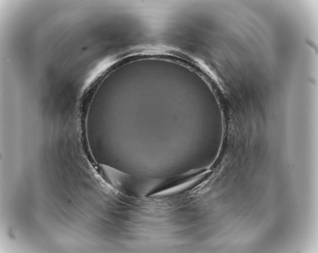 X0000095531456200712281512