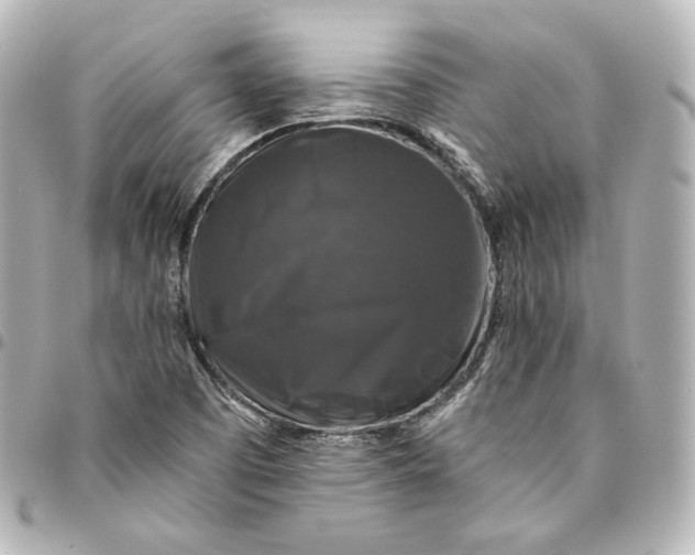 X0000095531457200712281511