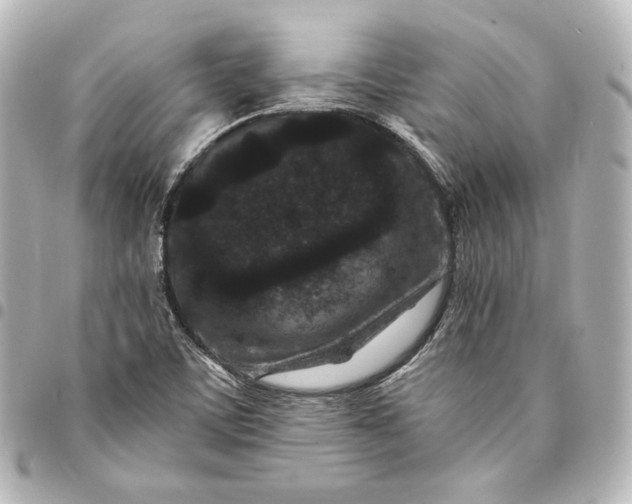 X0000095531459200712281511