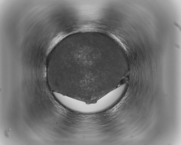 X0000095531461200712281511